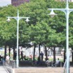 Cops Chase Artists Out Of A Park In Manhattan