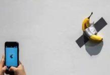 The U.S. Bananas Art Trial Is About To Begin