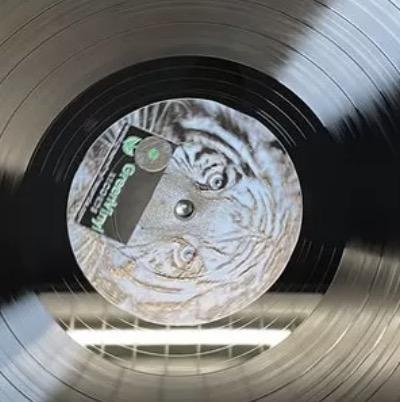 Finding A Greener Solution To The Vinyl Backlog