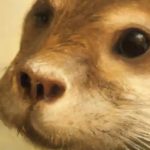 What Could Possibly Go Wrong With AI Art?