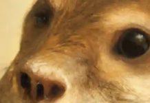 What Could Possibly Go Wrong With AI Art?