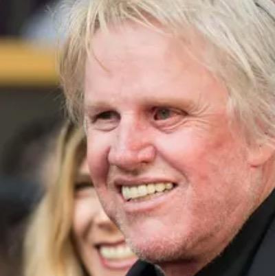 Actor Gary Busey Is Charged With Sex Crimes Offenses After A Horror Convention