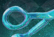 The Plight Of Everyone Who Wrote Something On The Internet That They May Come To Regret