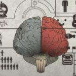 Our Brains Fill In Details Of Experience Based On Other Experiences