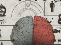 Our Brains Fill In Details Of Experience Based On Other Experiences