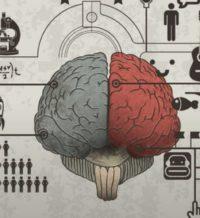 Our Brains Fill In Details Of Experience Based On Other Experiences
