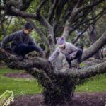 What Kids Learn From Play (And We Don’t Have To Teach Them About)