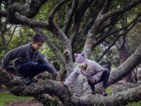 What Kids Learn From Play (And We Don’t Have To Teach Them About)