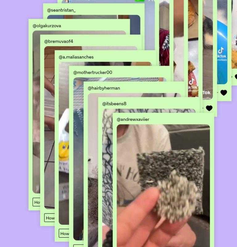 The Power Of Music To Drive TikTok Memes