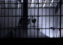 How To Kill The Internet In Australia: Websites Liable For Content On Pages They Link To?