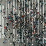 Towards The Collective: Redefining Intelligence