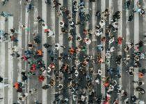 Towards The Collective: Redefining Intelligence