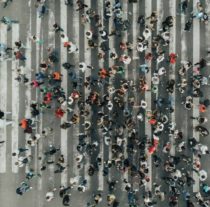 Towards The Collective: Redefining Intelligence