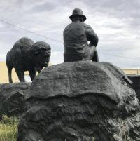 Edmonton Nixes Buffalo Sculpture After 12 Years Debate Over History