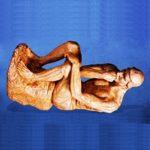 Constipated Scorpions, Moose Crash-Test Dummies, And The Best Way To Turn A Doorknob: The 2022 Ig Nobel Prizes