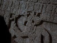 On A Mexican Cattle Ranch, Unearthing A Mysterious, Lost Mayan City
