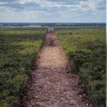 Construction Of The Yucatán’s “Maya Train” Route Has Uncovered Another Major Archaeological Find