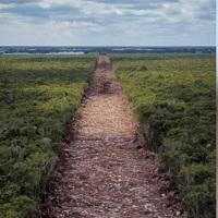 Construction Of The Yucatán’s “Maya Train” Route Has Uncovered Another Major Archaeological Find