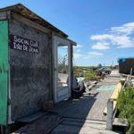 Fears That Climate Change Could Wipe Out French-Speaking Louisiana