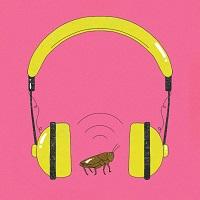 Are There Now So Many Podcasts That The Format Has Simply Turned Into On-Demand Radio?