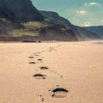 Writers Need To Put Some Thought Into Building Trust With Readers