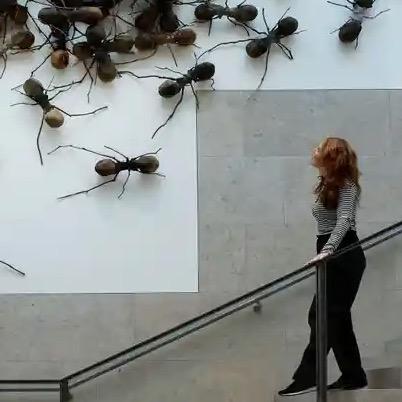 At The Rijksmuseum, Insects Now Rule