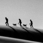 Ten Hard Questions About The Limits Of Human Intelligence