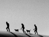 Ten Hard Questions About The Limits Of Human Intelligence