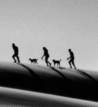 Ten Hard Questions About The Limits Of Human Intelligence