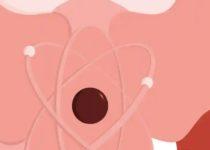 What If Reality Is Defined By Relationships Rather Than Physical Properties?