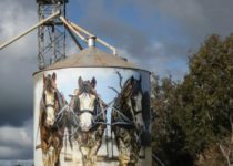 Australia Is Having An Extraordinary Debate On Cultural Policy