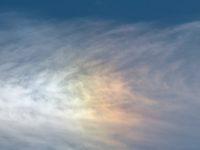 Good Luck With That: Poland Asks Russia To Return Looted WWII Art