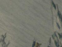 That Old Chestnut: The Meaning Of Life