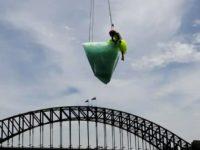 Sydney Festival Quits All Funding By Foreign Governments After Controversies