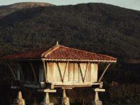 The Vocabulary Problem (And What Makes Language Fun)