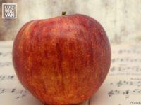 Is Apple Music About Launch A Classical Service?