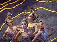 David Hallberg’s New Australia-Wide Dance Festival Is About To Begin