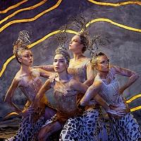 David Hallberg’s New Australia-Wide Dance Festival Is About To Begin