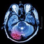 Can A Powerful Book Really Rewire Your Brain? A Neuropsychologist Tried To Find Out.