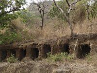 Ancient Buddhist Caves, Temples, And Murals Discovered In Indian Tiger Sanctuary