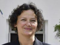 How This Year’s Unusual Venice Biennale Came Together