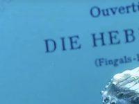 Removing Notes From Mendelsohn To Demonstrate Plight Of Whales