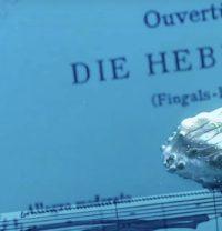 Removing Notes From Mendelsohn To Demonstrate Plight Of Whales