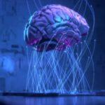 What Scientists Are Learning About Language From The Grammar Of Artificial Intelligence