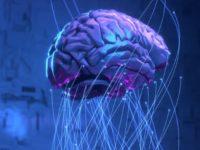 What Scientists Are Learning About Language From The Grammar Of Artificial Intelligence