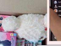 The Viral Tyranny Of TikTok