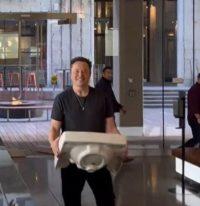 Just What Did Elon Musk Buy In Twitter?