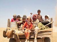 A New Archive At Google Arts & Culture Helps The Shattered Yazidi Community Recover