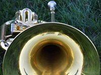 The Marching Bands Of HBCUs Have A Lot To Teach Classical Musicians