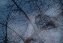 Like Many In Times Of War, Ukrainians Turn To Diaries To Document The Crisis